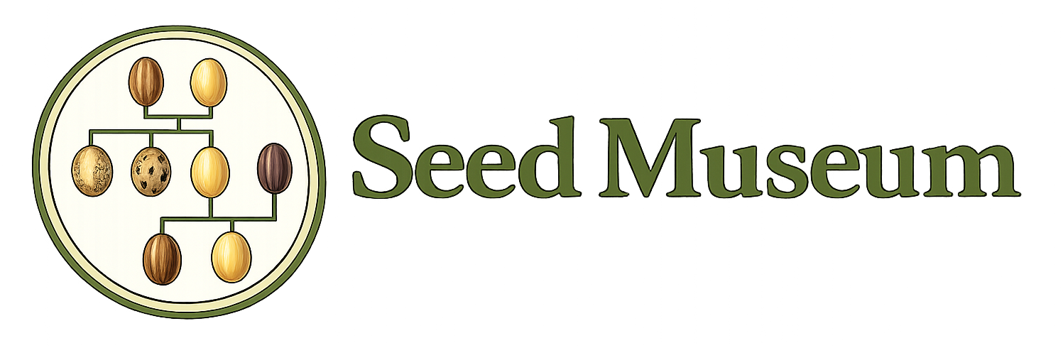 Seed Museum